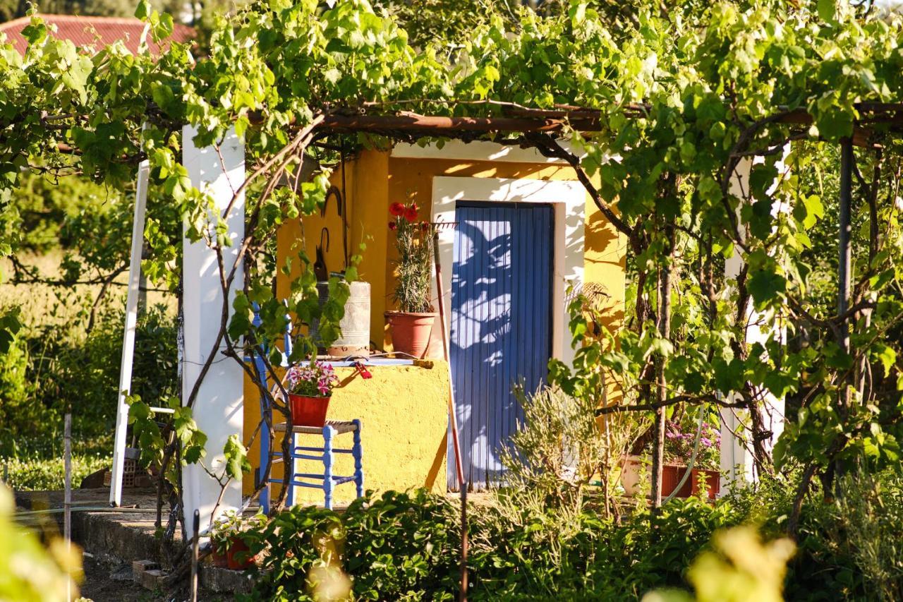 Villa Doreta Roda  Luaran gambar
