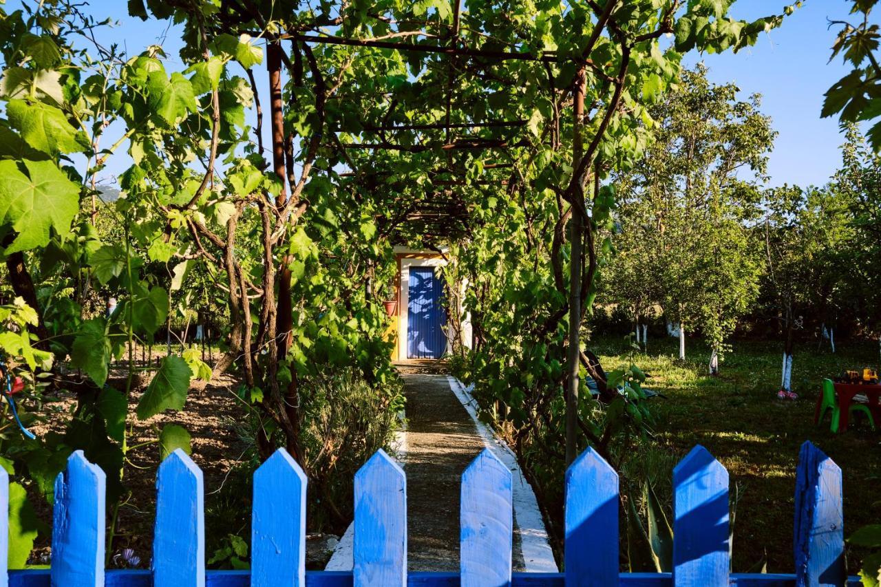 Villa Doreta Roda  Luaran gambar
